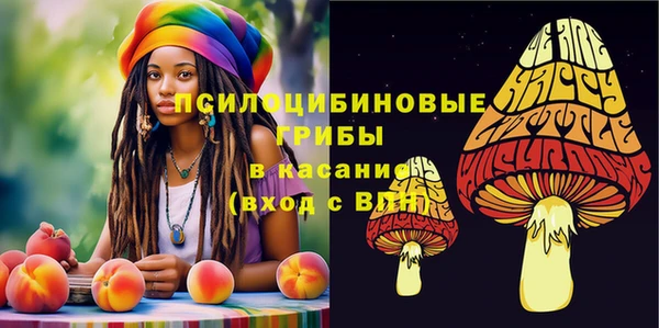 винт Алексеевка
