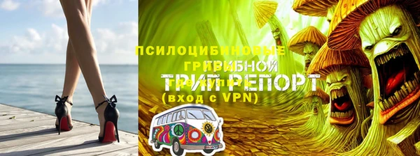 не бодяженный Алзамай