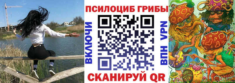 Галлюциногенные грибы мухоморы  где продают   Чадан 